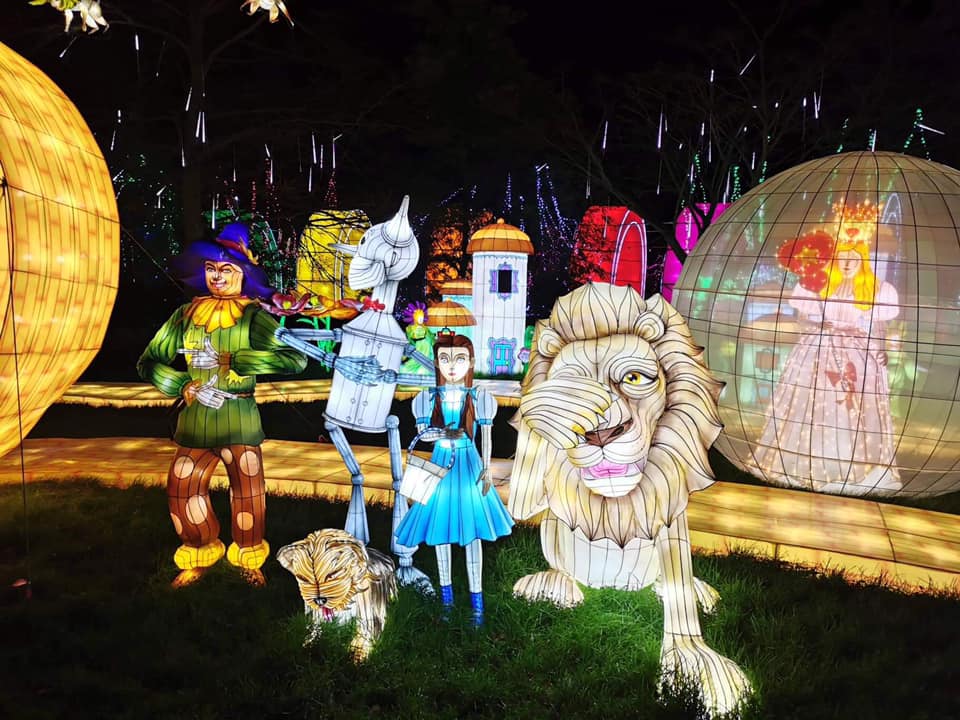 TAG Meath Autism Group Zoo Wild Lights